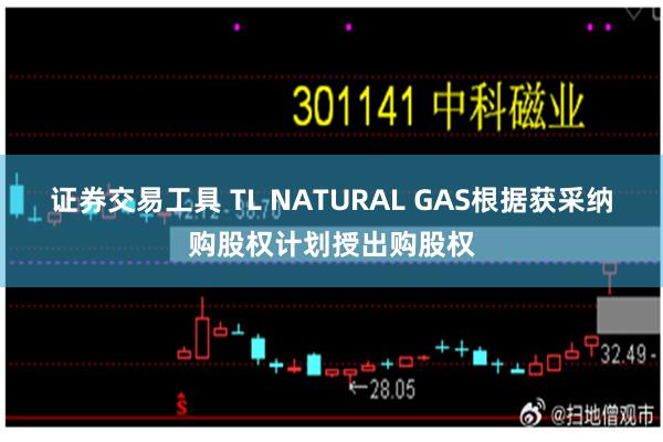 证券交易工具 TL NATURAL GAS根据获采纳购股权计划授出购股权
