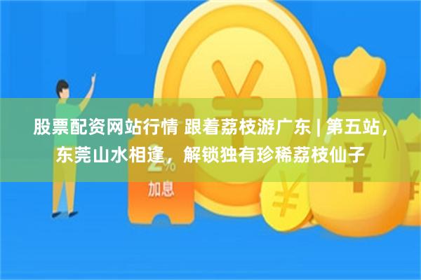 股票配资网站行情 跟着荔枝游广东 | 第五站，东莞山水相逢，解锁独有珍稀荔枝仙子