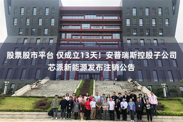股票股市平台 仅成立13天！安普瑞斯控股子公司芯派新能源发布注销公告