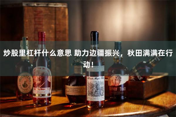 炒股里杠杆什么意思 助力边疆振兴，秋田满满在行动！