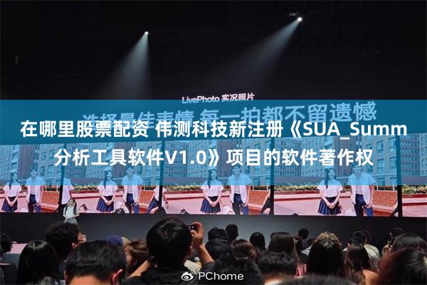 在哪里股票配资 伟测科技新注册《SUA_Summ分析工具软件V1.0》项目的软件著作权