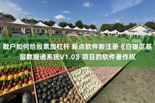 散户如何给股票加杠杆 新点软件新注册《白银区基层数据通系统V1.0》项目的软件著作权