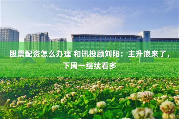 股票配资怎么办理 和讯投顾刘阳:主升浪来了,下周一继续看多