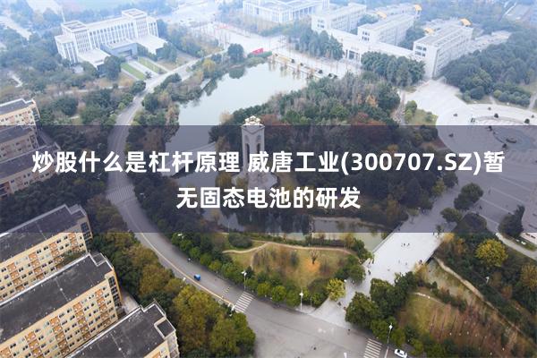 炒股什么是杠杆原理 威唐工业(300707.SZ)暂无固态电池的研发