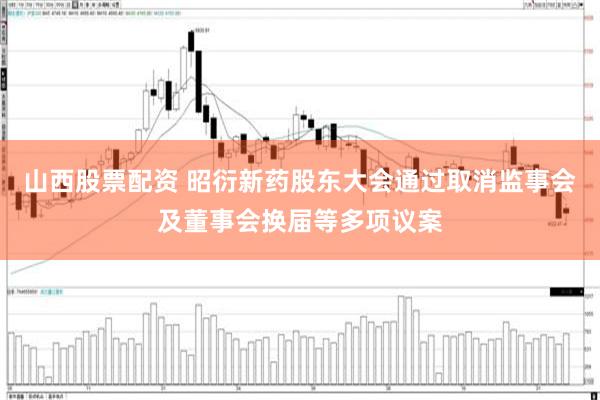 山西股票配资 昭衍新药股东大会通过取消监事会及董事会换届等多项议案