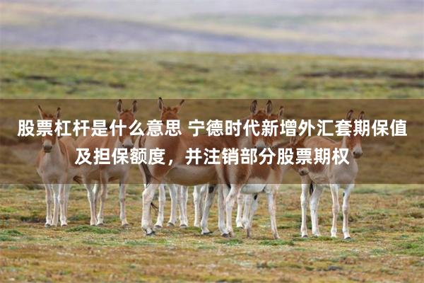 股票杠杆是什么意思 宁德时代新增外汇套期保值及担保额度，并注销部分股票期权