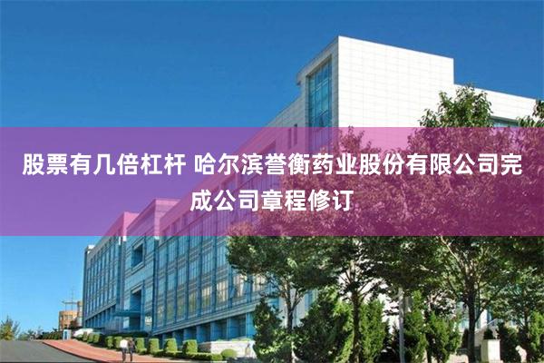 股票有几倍杠杆 哈尔滨誉衡药业股份有限公司完成公司章程修订