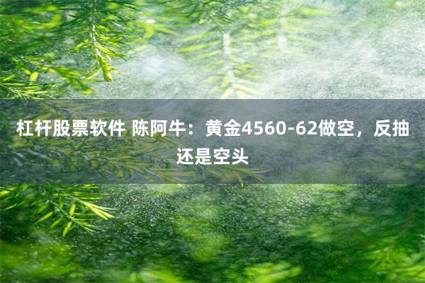 杠杆股票软件 陈阿牛：黄金4560-62做空，反抽还是空头