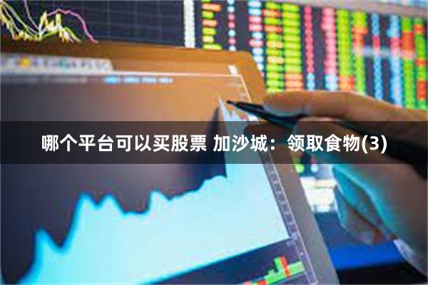 哪个平台可以买股票 加沙城：领取食物(3)