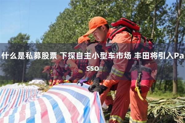 什么是私募股票 下探自主小型车市场 丰田将引入Passo