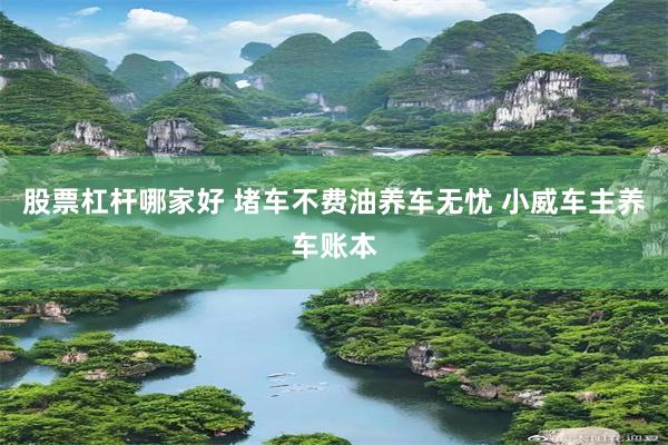 股票杠杆哪家好 堵车不费油养车无忧 小威车主养车账本