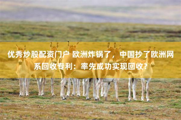 优秀炒股配资门户 欧洲炸锅了,中国抄了欧洲网系回收专利:率先成功实现回收?