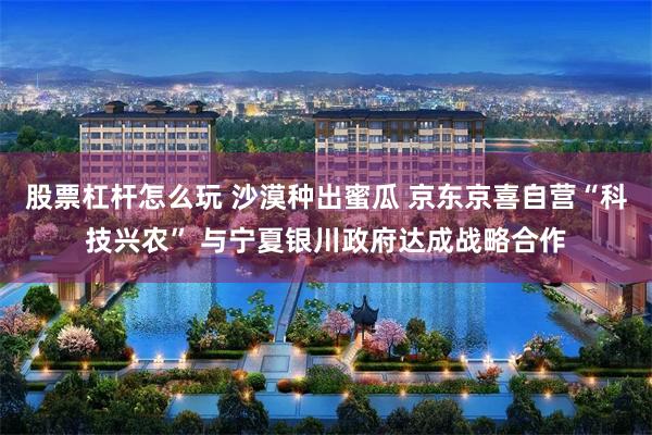 股票杠杆怎么玩 沙漠种出蜜瓜 京东京喜自营“科技兴农” 与宁夏银川政府达成战略合作