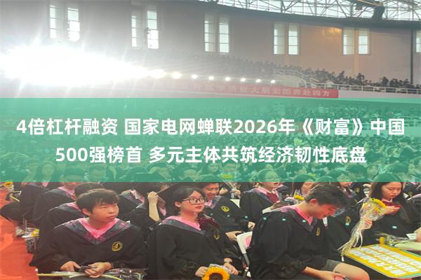 4倍杠杆融资 国家电网蝉联2026年《财富》中国500强榜首 多元主体共筑经济韧性底盘