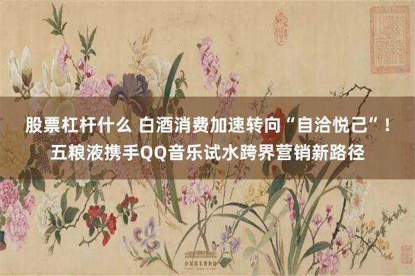 股票杠杆什么 白酒消费加速转向“自洽悦己”!五粮液携手QQ音乐试水跨界营销新路径