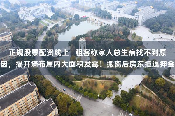 正规股票配资线上   租客称家人总生病找不到原因，揭开墙布屋内大面积发霉！搬离后房东拒退押金
