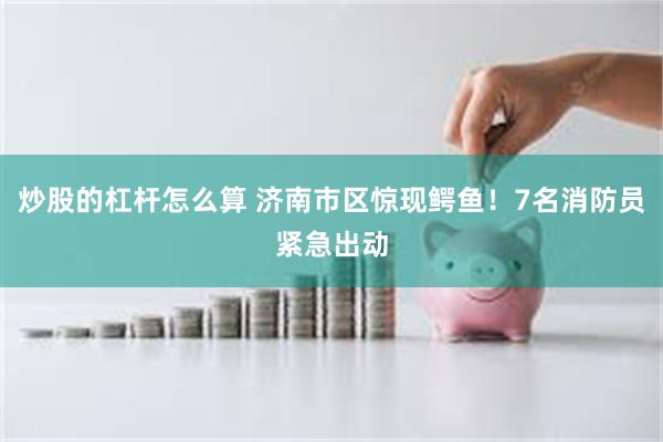 炒股的杠杆怎么算 济南市区惊现鳄鱼！7名消防员紧急出动