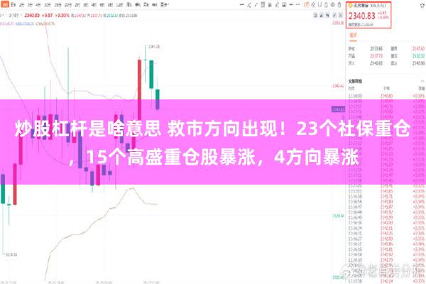 炒股杠杆是啥意思 救市方向出现！23个社保重仓，15个高盛重仓股暴涨，4方向暴涨