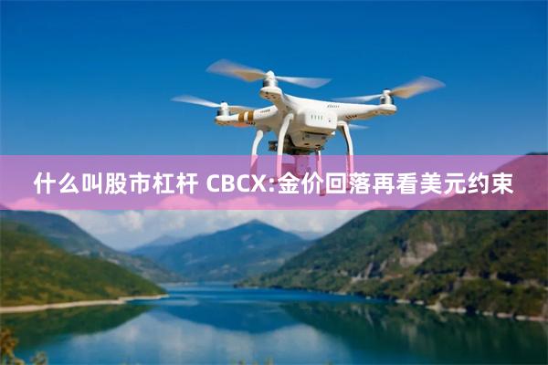 什么叫股市杠杆 CBCX:金价回落再看美元约束