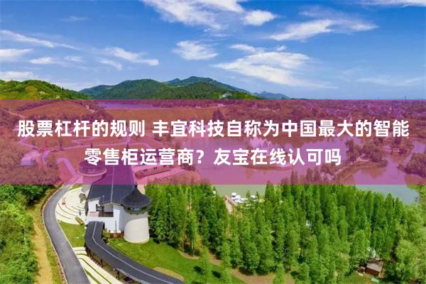 股票杠杆的规则 丰宜科技自称为中国最大的智能零售柜运营商？友宝在线认可吗