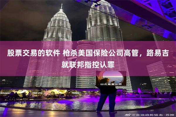 股票交易的软件 枪杀美国保险公司高管，路易吉就联邦指控认罪