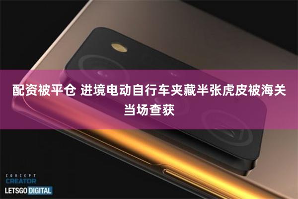 配资被平仓 进境电动自行车夹藏半张虎皮被海关当场查获