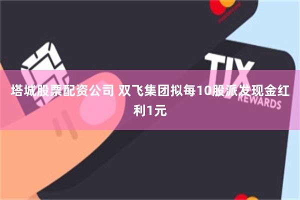 塔城股票配资公司 双飞集团拟每10股派发现金红利1元