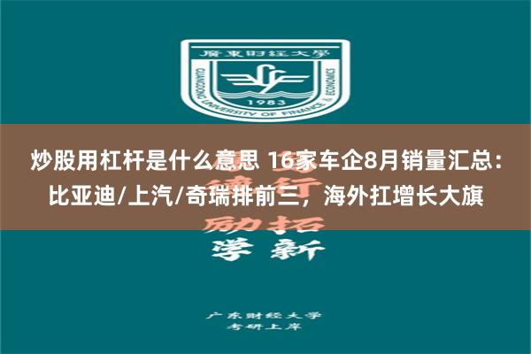 炒股用杠杆是什么意思 16家车企8月销量汇总：比亚迪/上汽/奇瑞排前三，海外扛增长大旗