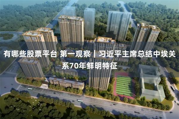 有哪些股票平台 第一观察｜习近平主席总结中埃关系70年鲜明特征