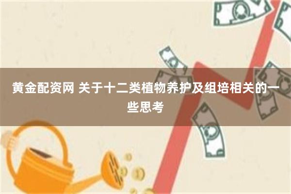黄金配资网 关于十二类植物养护及组培相关的一些思考