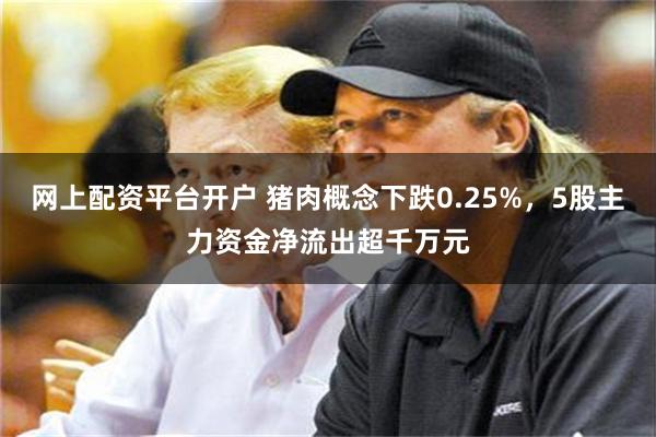 网上配资平台开户 猪肉概念下跌0.25%，5股主力资金净流出超千万元