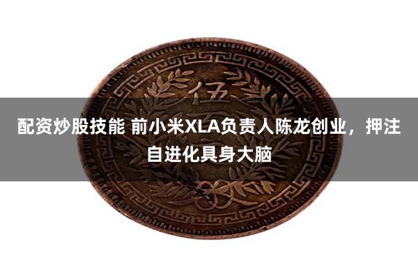 配资炒股技能 前小米XLA负责人陈龙创业，押注自进化具身大脑