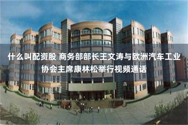 什么叫配资股 商务部部长王文涛与欧洲汽车工业协会主席康林松举行视频通话