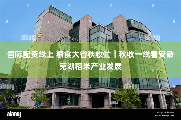 国际配资线上 粮食大省秋收忙｜秋收一线看安徽芜湖稻米产业发展