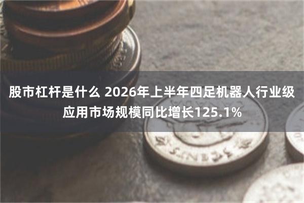 股市杠杆是什么 2026年上半年四足机器人行业级应用市场规模同比增长125.1%