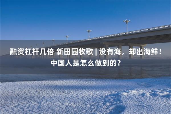 融资杠杆几倍 新田园牧歌 | 没有海，却出海鲜！中国人是怎么做到的？