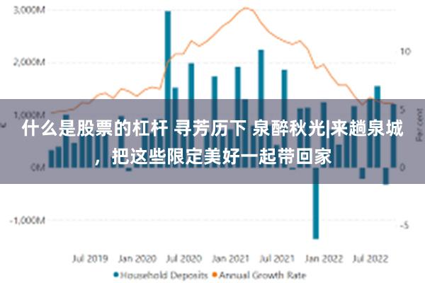 什么是股票的杠杆 寻芳历下 泉醉秋光|来趟泉城，把这些限定美好一起带回家
