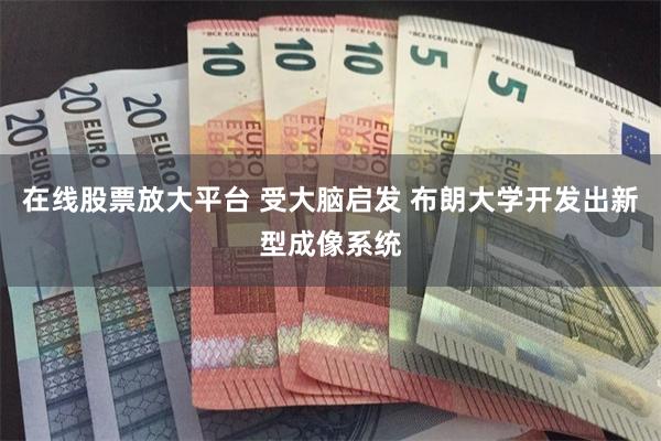 在线股票放大平台 受大脑启发 布朗大学开发出新型成像系统