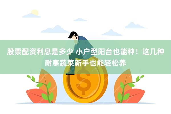 股票配资利息是多少 小户型阳台也能种！这几种耐寒蔬菜新手也能轻松养